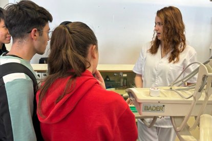 Desarrollo de las II Jornadas Mira la FP en el IES Santo Domingo.