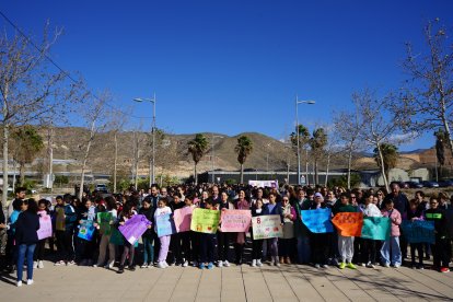 Decenas de estudiantes protagonizan en Vícar una manifestación a lo largo del Bulevar de La Paz.