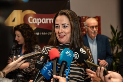 La delegada del Gobierno andaluz, Aránzazu Martín, hablando con los medios de comunicación antes de dar comienzo el Congreso.