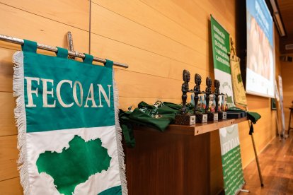 Estandarte de FECOAN y estatuillas votivas ibéricas, que esta entidad entrega como reconocimiento a personas destacadas relacionadas con sus activi