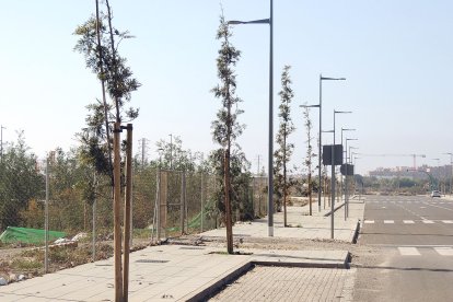 Nuevas avenidas que, de momento, no tienen bloques alrededor.