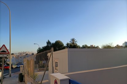 Al fondo del huerto urbano preside la palmera.