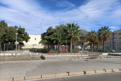 Junto a los campos de petanca también hay palmeras.