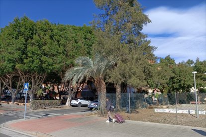 Cortijo Grande tiene buenas palmeras.