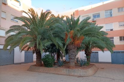 Se muestran con todo su esplendor.