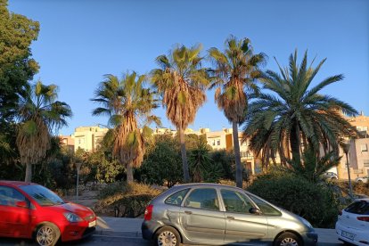 Están fuertes y en todo su esplendor.