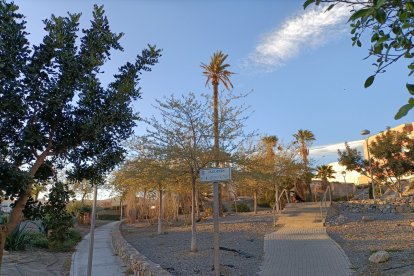 Todos los barrios de Almería tienen palmeras.