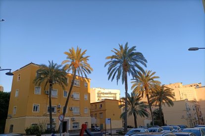 Un parque infantil entre las palmeras.