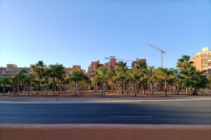 La Rotonda de Canal Sur.