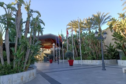 Un entorno salpicado de palmeras.