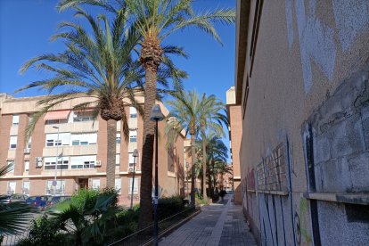 Calles interiores con palmeras.