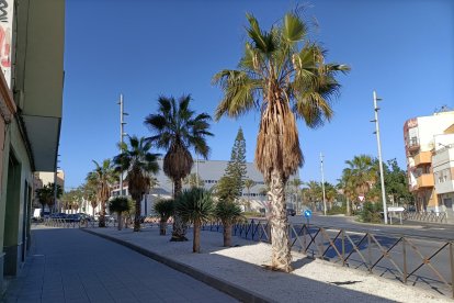 Forman parte de nuestras vidas.