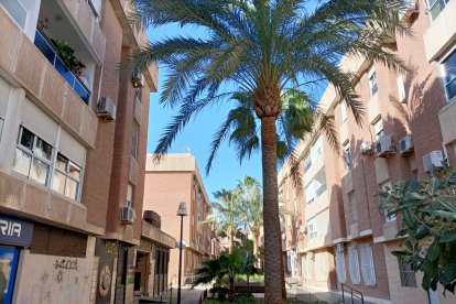 Las calles interiores de Nueva Andalucía.