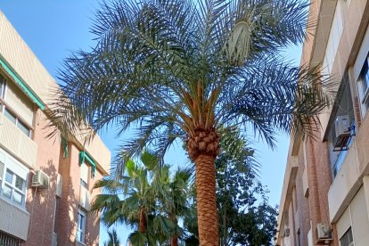 En Nueva Andalucía tras pasar la ITV