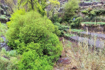 Río Chico (Ohanes). Foto de David Sánchez