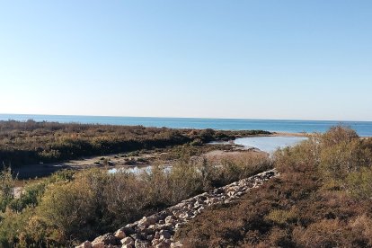 Vista general de la desemocadura.