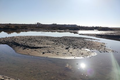 El sol brillando con fuerza en la desembocadura.