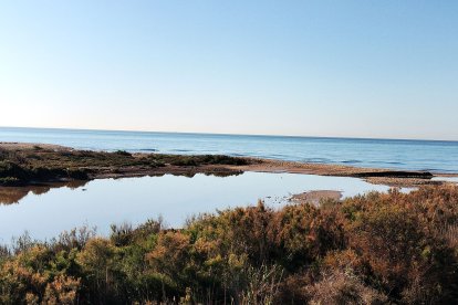 En pocos días apenas quedará agua en el delta.