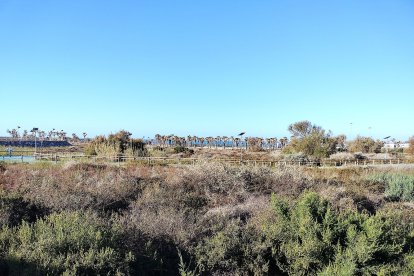 Las obras permitieron ampliar el Paseo Marítimo de la capital hasta la desembocadura.