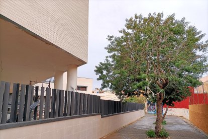 La Calle Cerro El Almirez, peatonal, y el Centro de Salud a la izquierda.