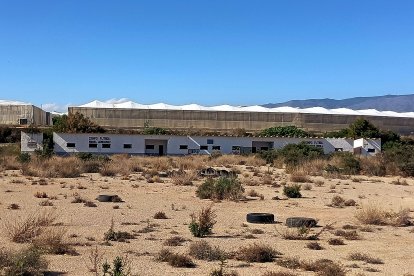 Eran campos de tierra y poco a poco la vegetación ha ido ganando terreno.