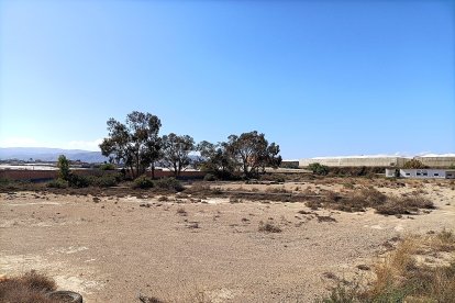 Eran dos campos de tierra que dejaron de usarse a mediados de los 2000.