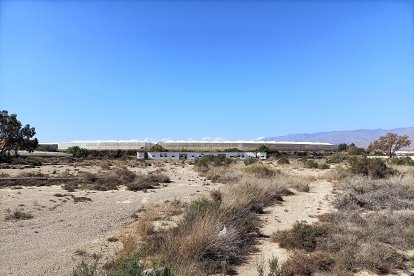 Vista desde la puerta principal con los vestuarios al fondo.