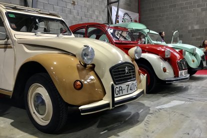 Club Cacharricas Vícar.
