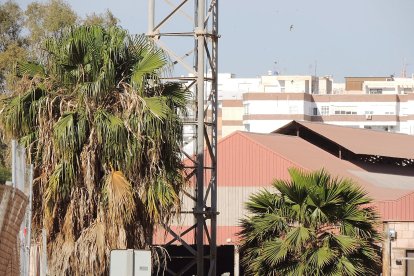 El color rojo habitual de los talleres.