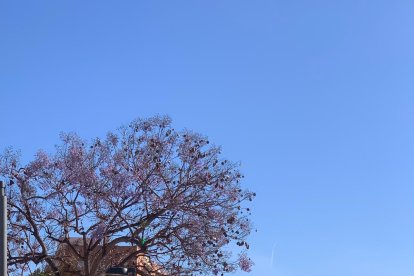 Peregrinación a Pechina, cuna de la Diócesis de Almería.