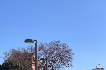 Peregrinación a Pechina, cuna de la Diócesis de Almería.