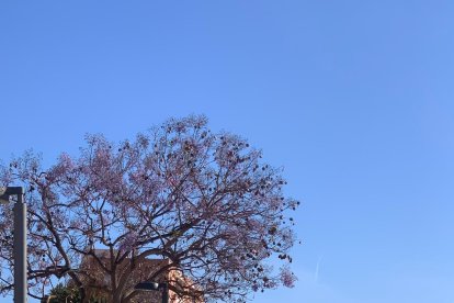 Peregrinación a Pechina, cuna de la Diócesis de Almería.