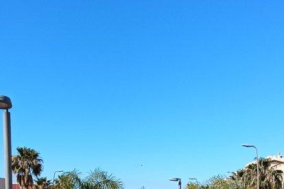 Peregrinación a Pechina, cuna de la Diócesis de Almería.