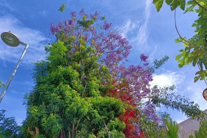 Colorida estampa primaveral en Ciudad Jardín.