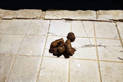 Hay para elegir al sol y a la sombra.