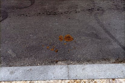 El camino está salpicado de sorpresas.