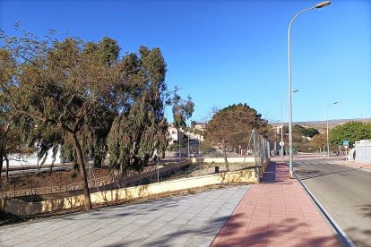 El Ayuntamiento se reserva un espacio para las mascotas.