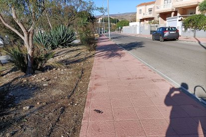 Esta no se escapa a la cámara.