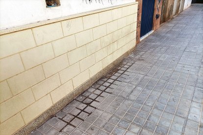 El pipi no ha encontrado la compañía del vinagre.