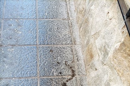 Nadie se libra de una pisada.