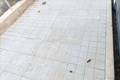 En pocos metros hay para elegir.