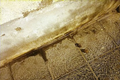 Zona de pis en la calle Las Cabras.