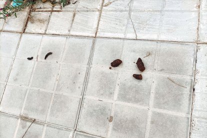 Dos terrazos tomados por las croquetas.