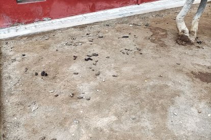 En la calle La Plata junto a la Iglesia de Los Ángeles hay un \'cagódromo\'.