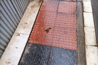 A la puerta de la cochera no puede faltar una.