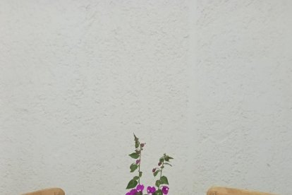 Nuevo material para los clientes.