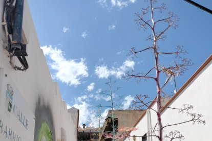 Escalones que en breve serán pintados en diferentes colores.