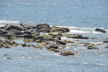 Bien resguardada del viento, hay poco oleaje.