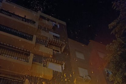 Petalá a la Virgen del Carmen de El Zapillo.