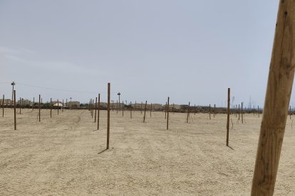 Preparativos a toda marcha para el Dreambeach 2024.